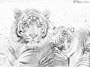 Dessin Tigre Bébé avec Coloriage Bébé Tigre