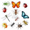 Dessins En Couleurs À Imprimer : Insectes, Numéro : 165826 concernant Image D Animaux A Imprimer En Couleur
