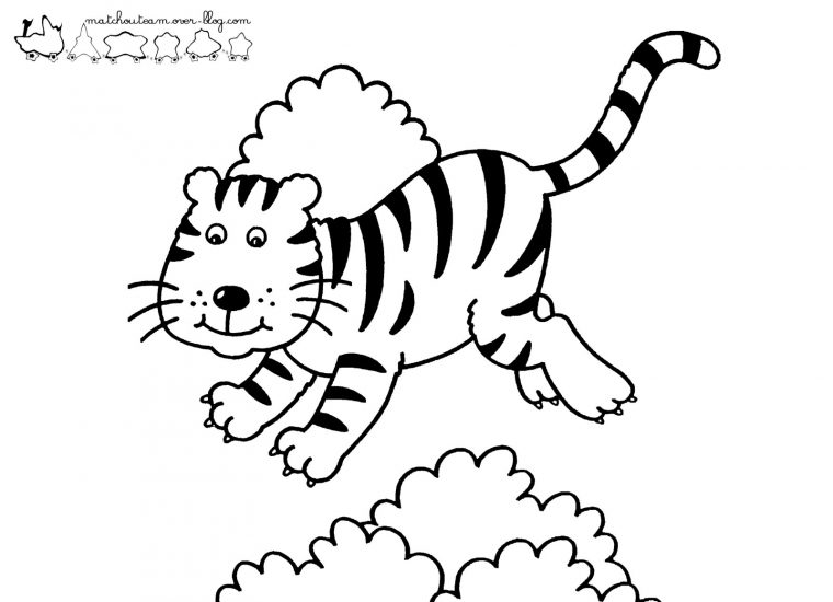 Dessins Gratuits À Colorier – Coloriage Tigre À Imprimer concernant Coloriage Bébé Tigre