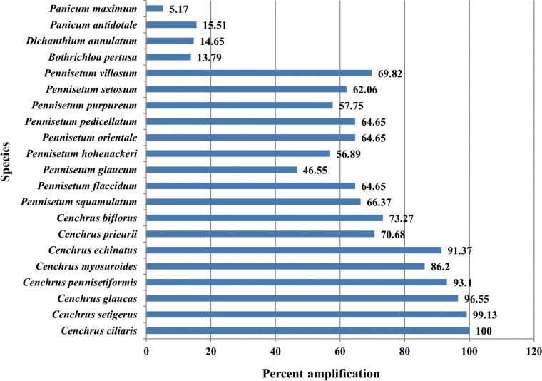 Development Of Est-Ssr Markers In Cenchrus Ciliaris And pour Reproduction De Figures Ce1