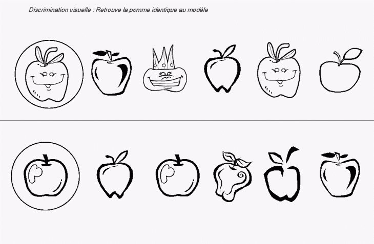 Discrimination Visuelle/görsel Ayrımı | Montessori tout Imagier Ecole