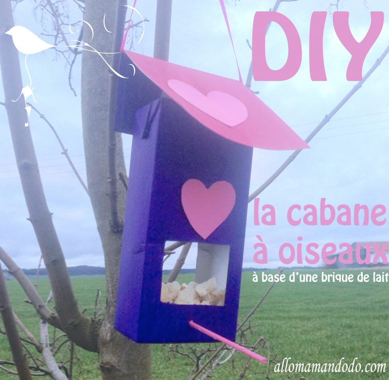 Diy: Une Cabane À Oiseau À Base De Brique De Lait – Allo avec Brique Pour Bebe