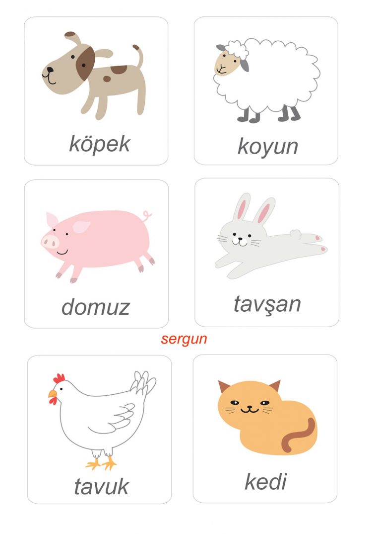 Doga Kavak (Recobayasin_81) Pinterest'te intérieur Animaux Ovipares Liste