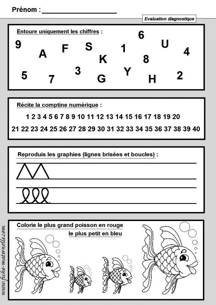 Ecole Maternelle Evaluation Diagnostique à Évaluation Graphisme Ms