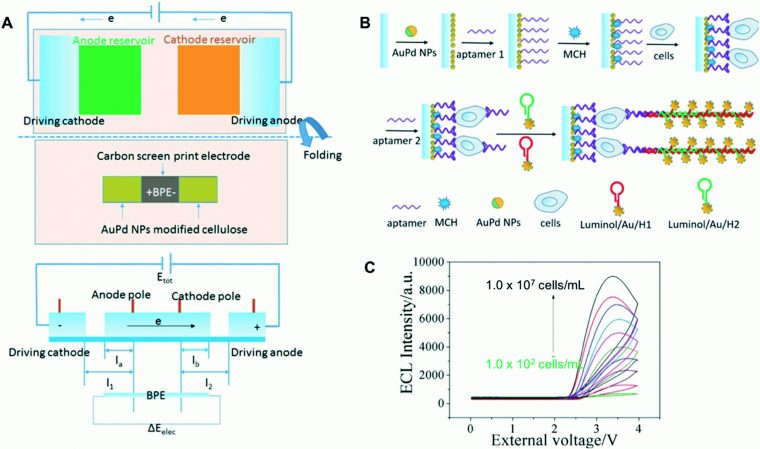 Electrochemical Paper-Based Devices: Sensing Approaches And destiné Sudoku Grande Section