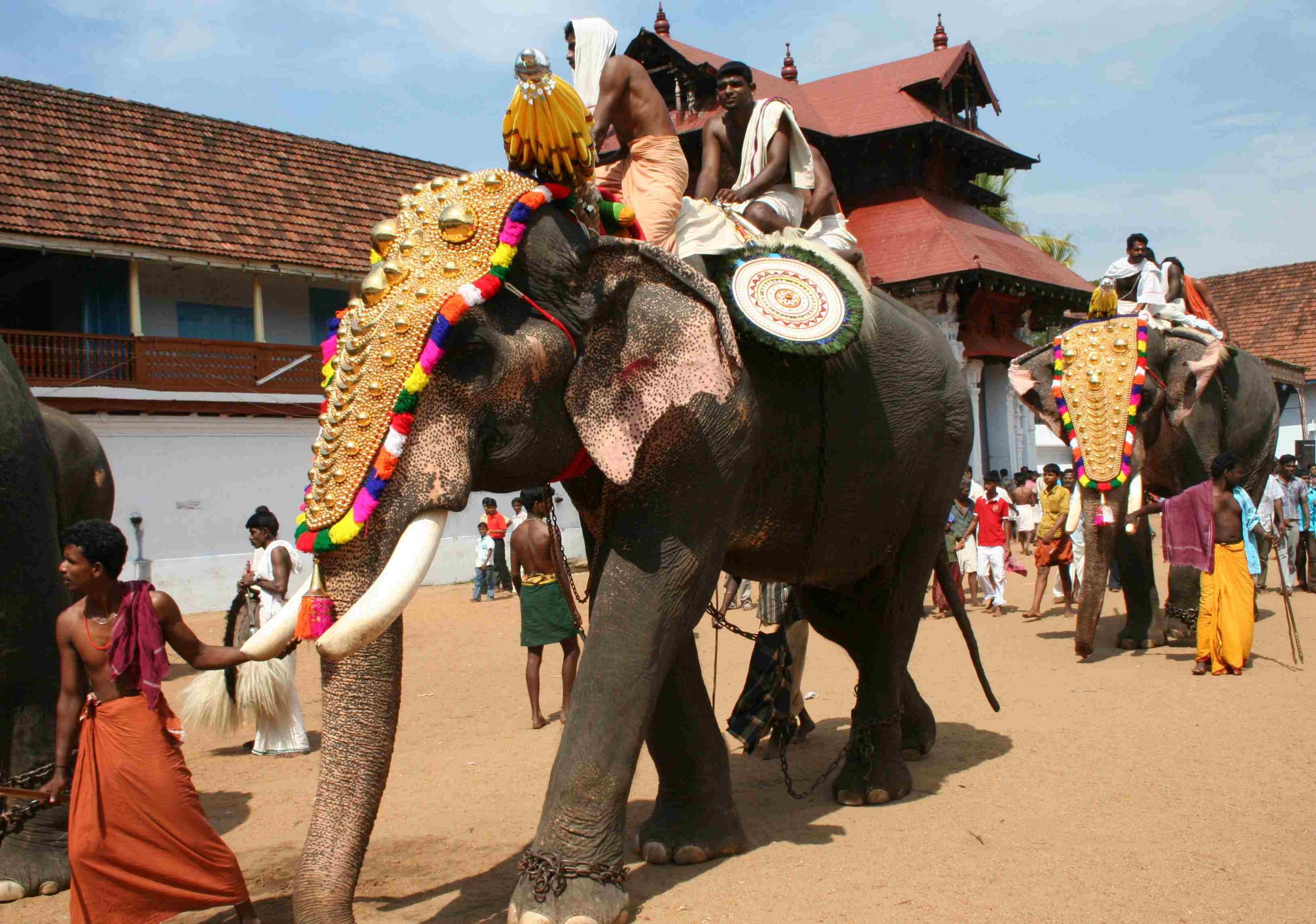 Éléphant Dans L&amp;#039;art - Wikiwand serapportantà Barrissement Elephant 