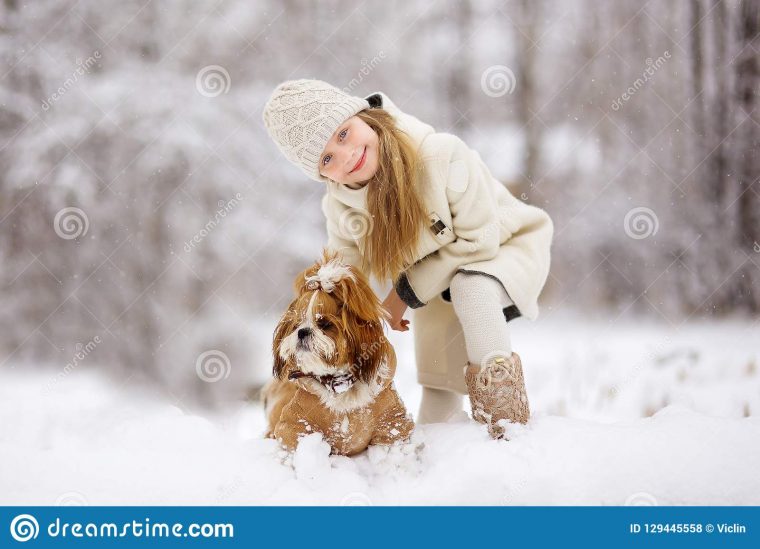 En Hiver, Chutes De Neige Dans La Forêt Neigeuse, Jeu De pour Jeux Animaux Pour Fille