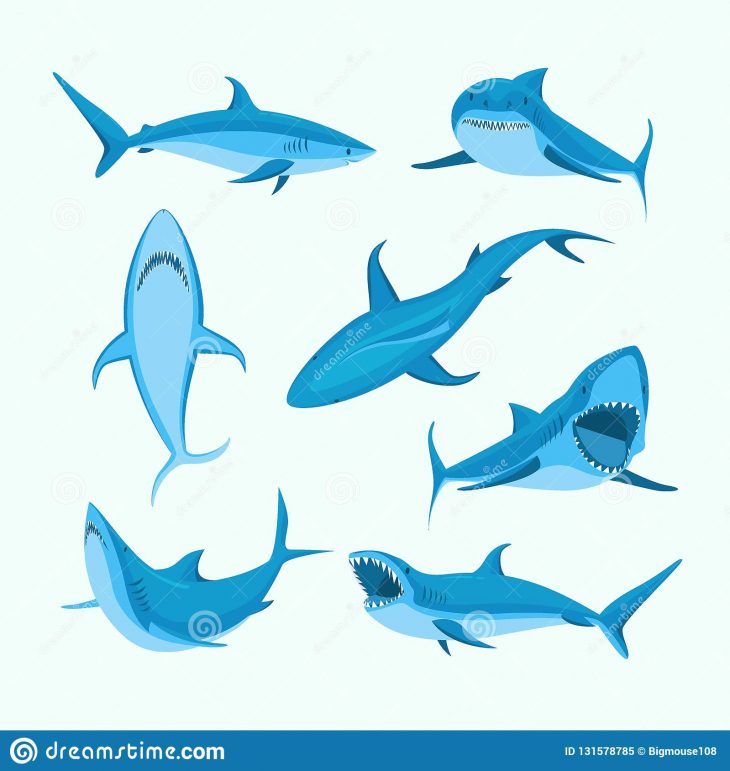 Ensemble Bleu D'icône De Signe De Requin De Caractères De concernant Requin Souris