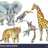 Ensemble D'animaux De La Jungle À L'aquarelle, Des Éléments à Animaux De La Jungle Maternelle