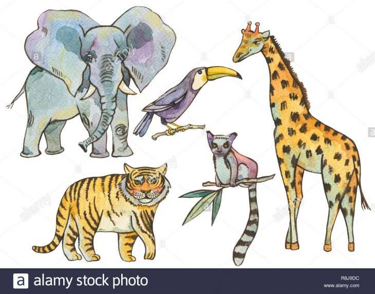 Ensemble D'animaux De La Jungle À L'aquarelle, Des Éléments à Animaux De La Jungle Maternelle