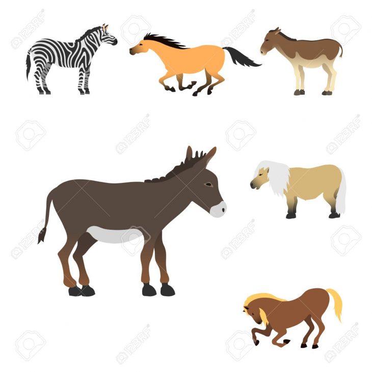 Ensemble De Cheval Poney Étalon Isolé Différentes Races Couleur Ferme  Animaux Équestres Caractères Vector Illustration. Collection Animal  Mammifère encequiconcerne Cheval Dessin Couleur