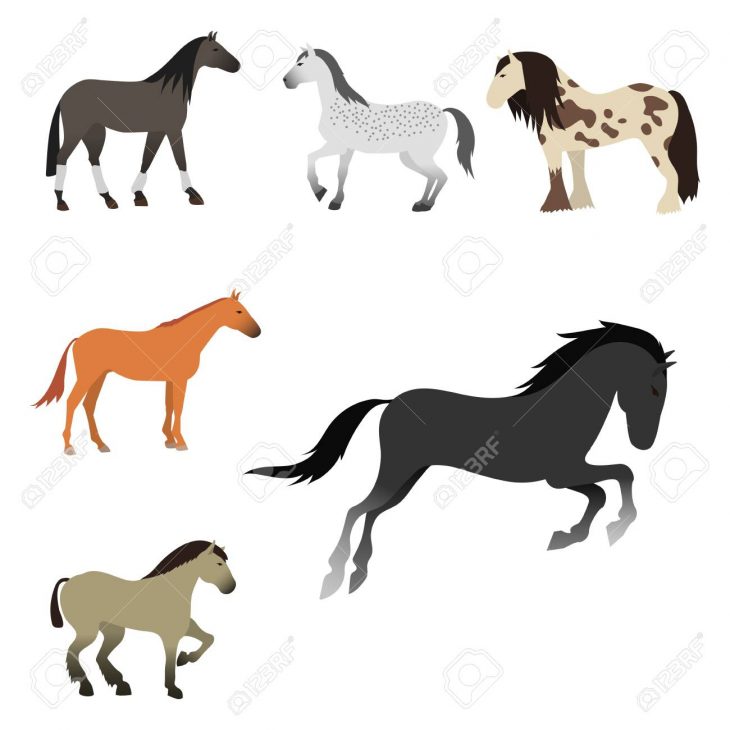 Ensemble De Cheval Poney Étalon Isolé Différentes Races Couleur Ferme  Animaux Équestres Caractères Vector Illustration. Collection Animal  Mammifère tout Cheval Dessin Couleur