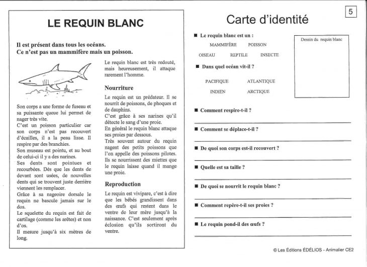 Épinglé Sur École à Exercice Ce2 En Ligne Gratuit