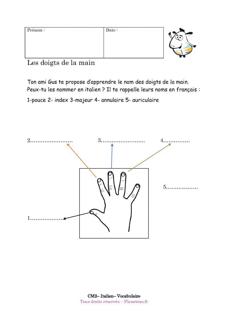 Exercice Corrigé Pour Le Cm2 : Les Doigts De La Main serapportantà Le Nom Des Doigts De La Main