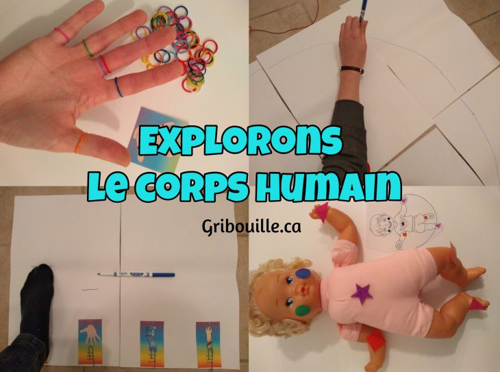 Explorons Le Corps Humain – Mes Activités Avec Gribouille à Activité Corps Humain