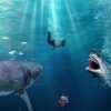 Faim Jeu De Requin Pour Android - Téléchargez L'apk serapportantà Tous Les Jeux De Requin