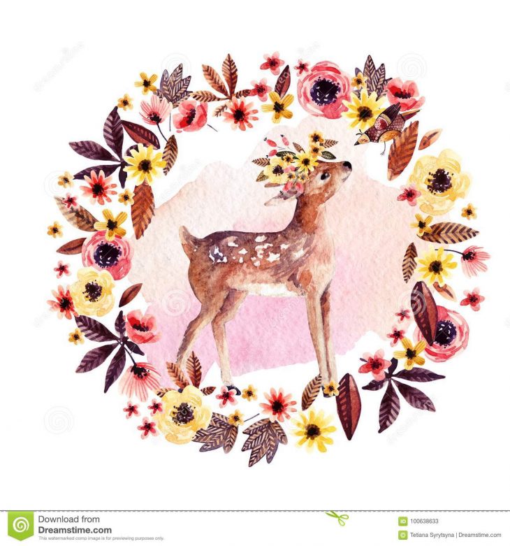 Faon De Cerfs Communs D'aquarelle Parmi Des Fleurs D avec Faon Dessin