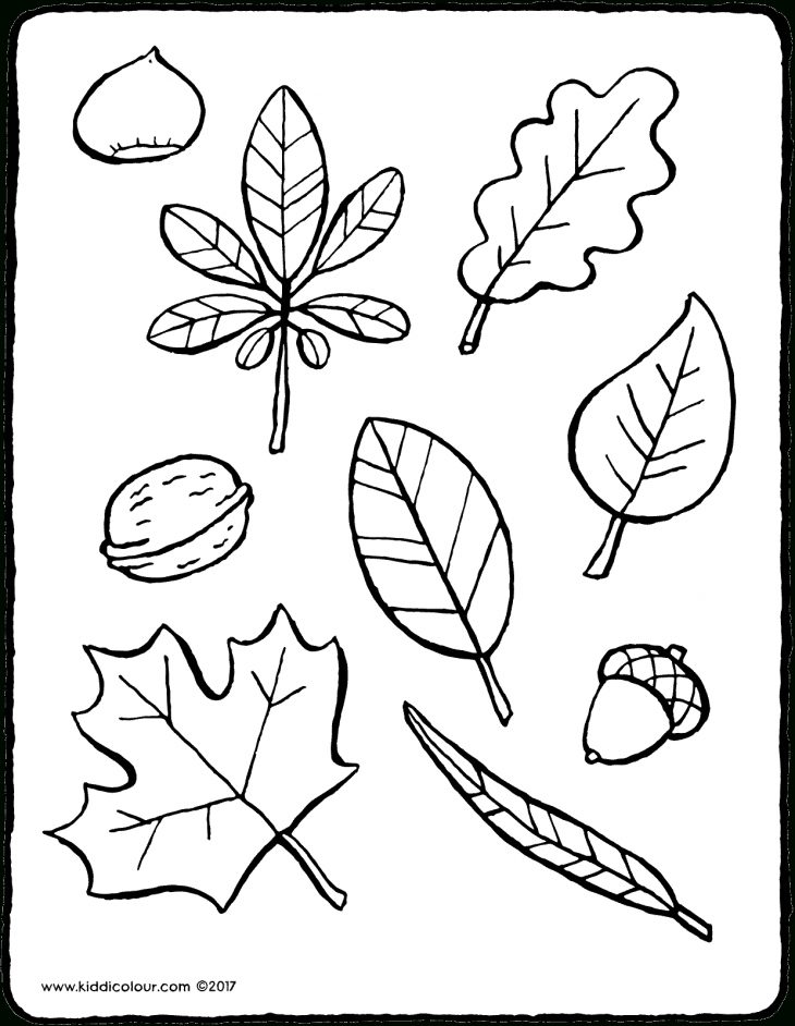 Feuilles D'automne – Kiddicoloriage destiné Feuille A Colorier