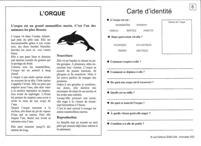 Fiches Pédagogiques Du Cycle 3 En Lecture Sur Ce Site pour Travaille Ce2 A Imprimer