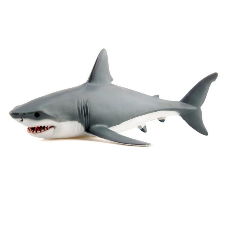 Figurine Requin Blanc avec Tous Les Jeux De Requin