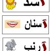 Flashcards : Mots Illustrés | Apprendre L'arabe, Alphabet intérieur Ordi Mots