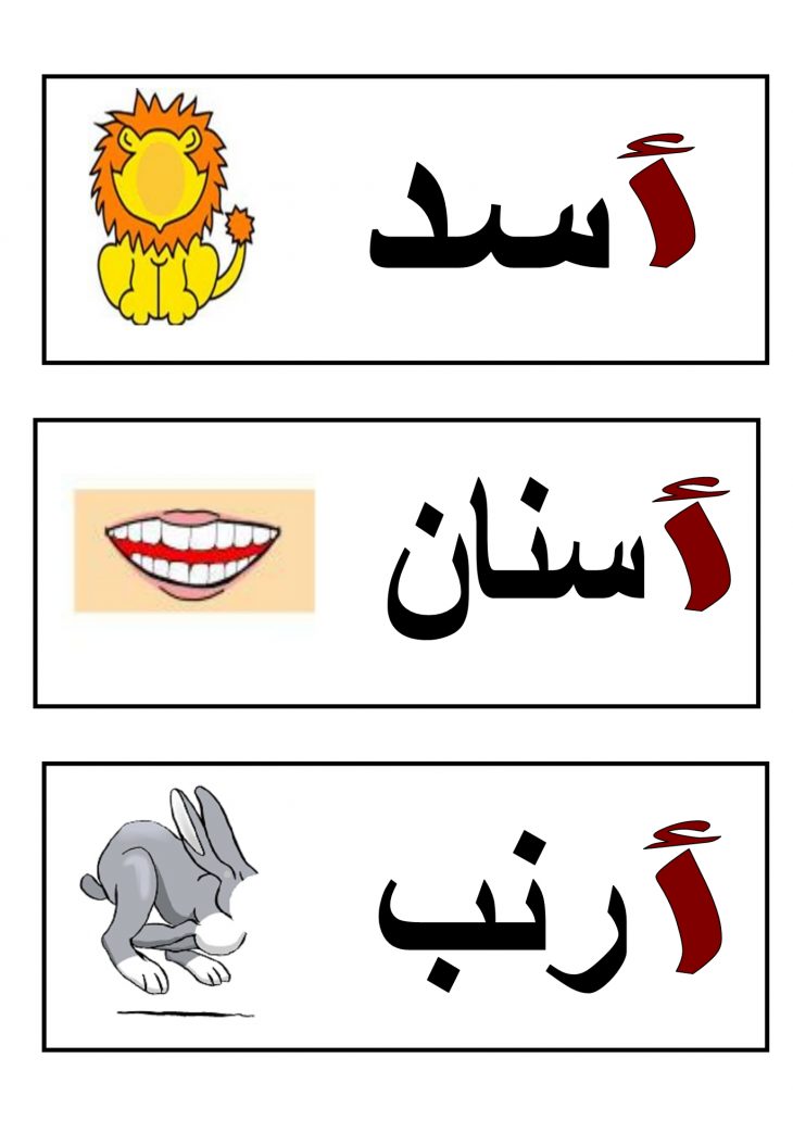 Flashcards : Mots Illustrés | Apprendre L'arabe, Alphabet intérieur Ordi Mots