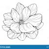 Fleur De Magnolia Dans Le Style De Découpe D'isolement Sur pour Fleurs À Découper