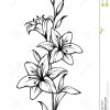 Fleurs De Lis Dessin Noir Et Blanc De Découpe De Vecteur encequiconcerne Fleurs À Découper