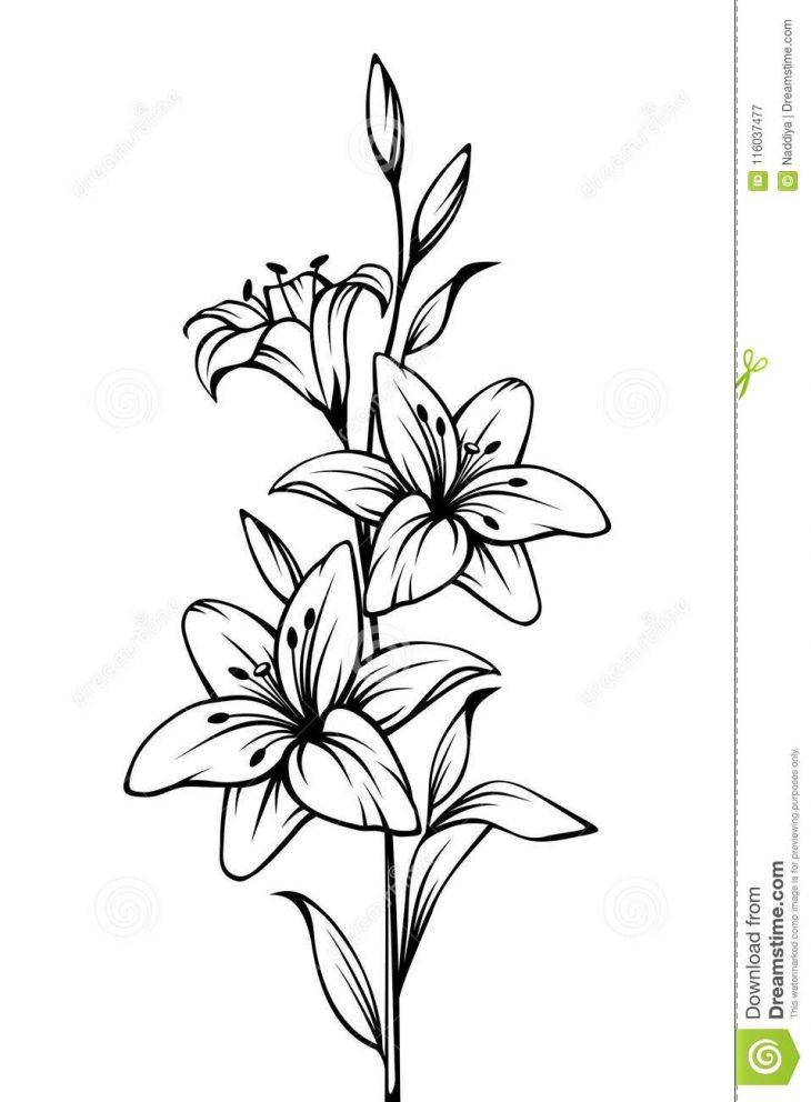 Fleurs De Lis Dessin Noir Et Blanc De Découpe De Vecteur encequiconcerne Fleurs À Découper