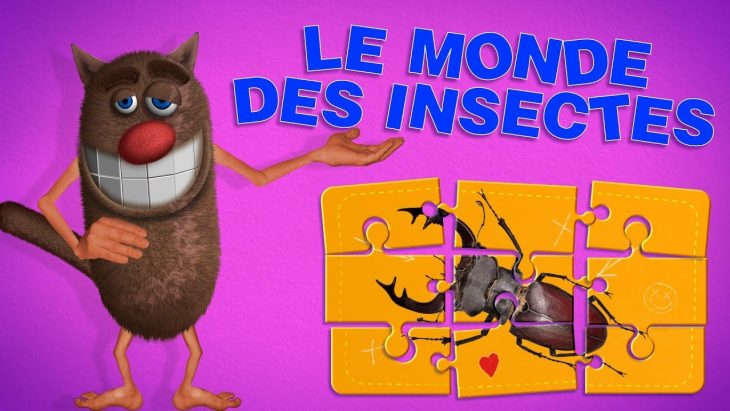 Foufou – Imagier Vidéo Pour Enfant Spécial Insectes/picture Book For Kids 4K concernant Imagier Insectes