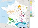 France Map Of Vineyards Wine Regions pour Map De France Regions