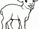 Free Printable Sheep Coloring Pages For Kids | Mouton Dessin à Mouton À Colorier