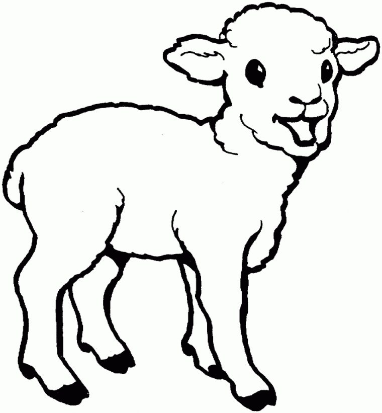 Free Printable Sheep Coloring Pages For Kids | Mouton Dessin à Mouton À Colorier