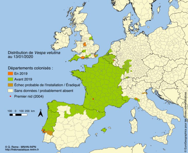 Frelon Asiatique tout Voir La Carte De France