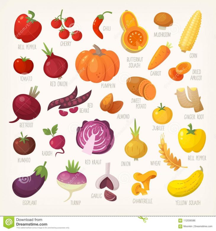 Fruits Et Légumes Colorés Avec Des Noms Illustration De à Nom De Legume