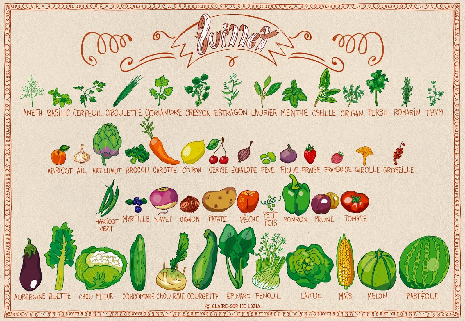 Fruits Et Légumes De Juillet à Nom Legume 