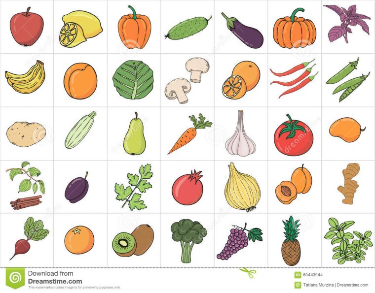 Fruits Et Légumes Tirés Par La Main De Griffonnage Avec Le tout Nom Legume