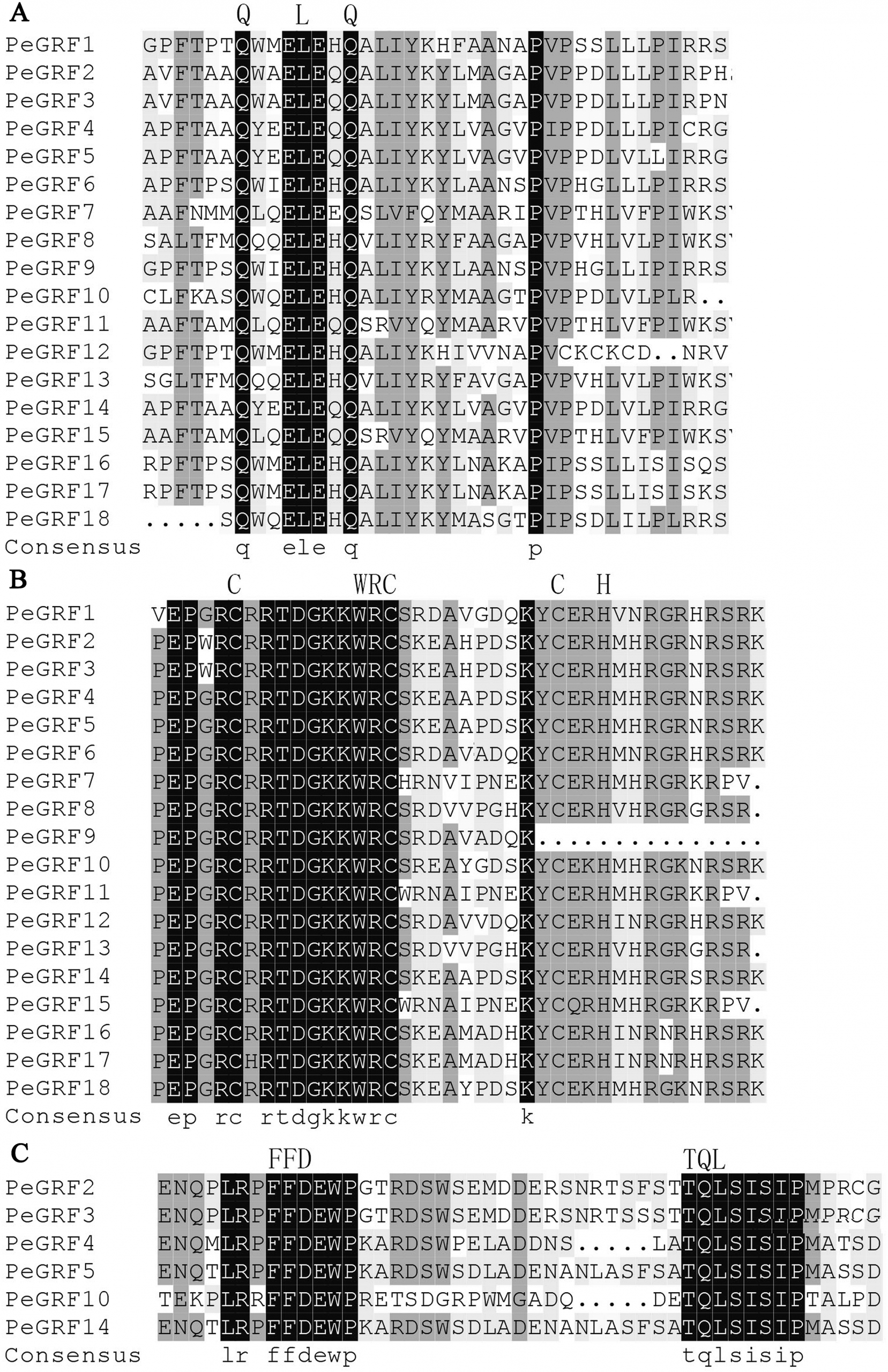 Genome-Wide Identification Of Growth-Regulating Factors In tout Reproduction De Figures Ce1 