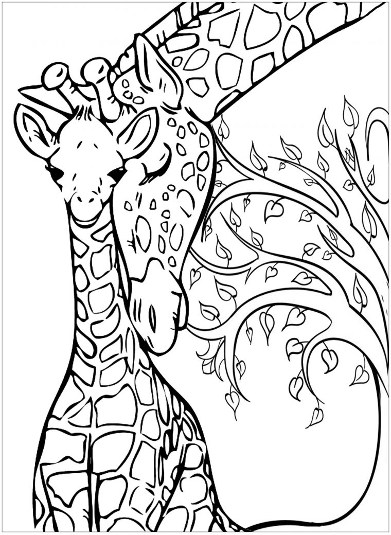 Girafes : Bébé Et Maman – Girafes – Coloriages Difficiles concernant Coloriage Bébé Tigre