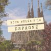 Grille De Mots-Mêles Gratuit : Destination Espagne - Je-Teste pour Mot Mele Telecharger Gratuit