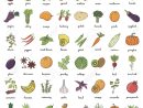 Hand Drawn Fruits Et Légumes Griffonnage Avec Le Nom. Vector Illustration destiné Nom Legume