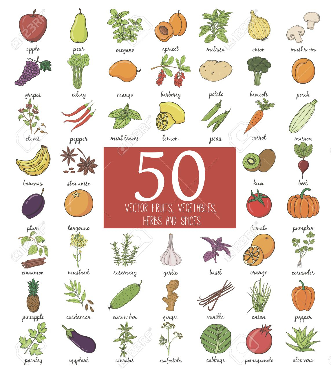 Hand Drawn Fruits Et Légumes Griffonnage Avec Le Nom. Vector Illustration pour Nom De Legume 