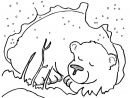 Http://colorings.co/hibernating-Animals-Coloring-Pages dedans Animaux Qui Hivernent