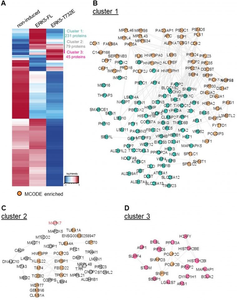 Ijms | Free Full-Text | Discovery Of A Gatekeeper Residue In tout Reproduction De Figures Ce1