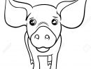 Illustration En Noir Et Blanc De Dessin Animé Mignon Petit Cochon Ou  Caractère Animal Porcelet Ferme Coloriage encequiconcerne Dessin À Colorier Cochon