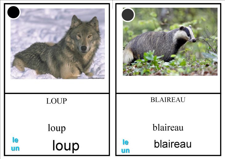 Imagier Animaux Forêt – La Classe Des Petits Moyens encequiconcerne Animaux Foret Maternelle