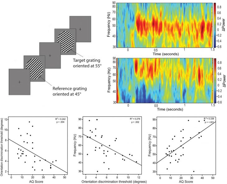 Increased Peak Gamma Frequency In Individuals With Higher tout Traits Obliques Ms