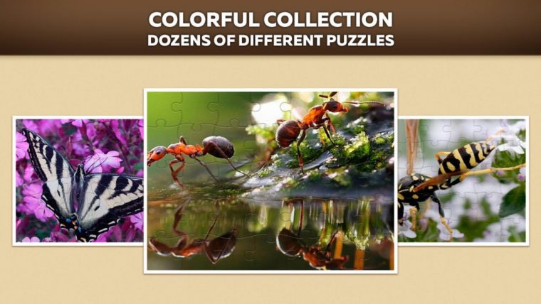 Insectes Puzzles Pour Adultes Et Enfants Gratuits Pour tout Puzzles Adultes Gratuits