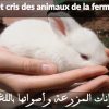 J'apprend Les Animaux De La Ferme Et Leurs Cris En Arabe Pour Bébé, Les  Noms Des Animaux En Arabe, L à Bruit Des Animaux De La Ferme