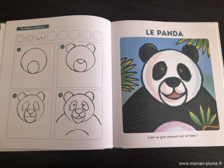 J'apprends À Dessiner Les Animaux Du Monde Des Editions dedans J Apprend À Dessiner